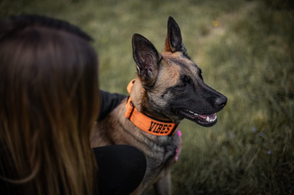 mantrailing-activite-lyon